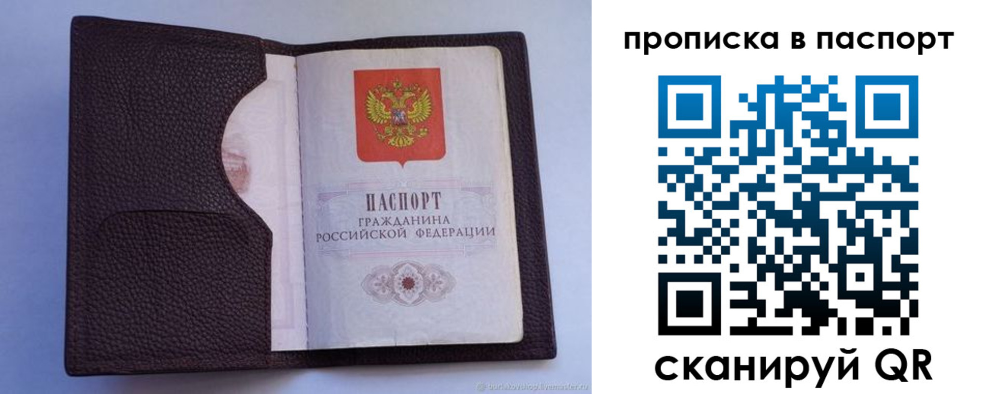 прописка законно в Сафоново